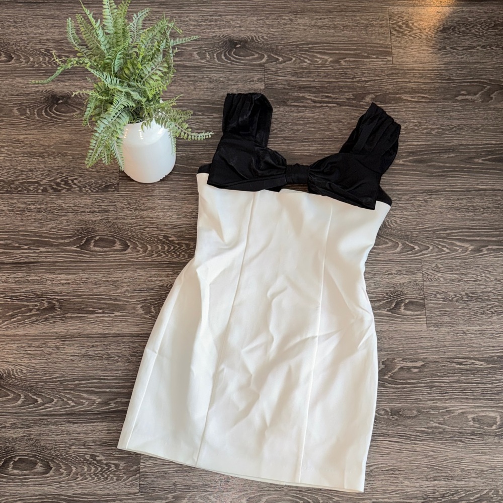 Endless Rose Black and Cream Mini Dress
